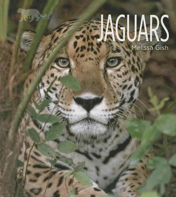 Cover of Jaguars