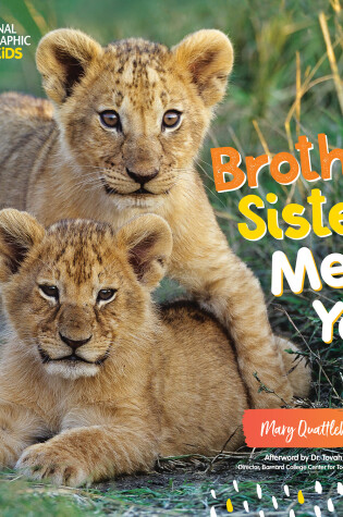 Cover of Brother, Sister, Me and You