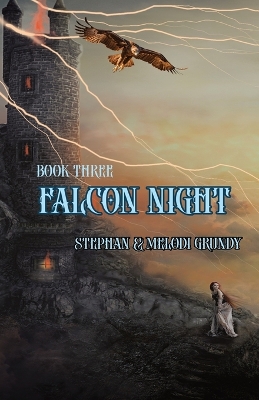 Book cover for Falcon Night