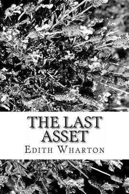 Book cover for The Last Asset