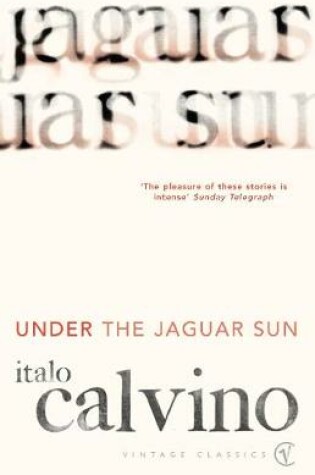 Cover of Under the Jaguar Sun