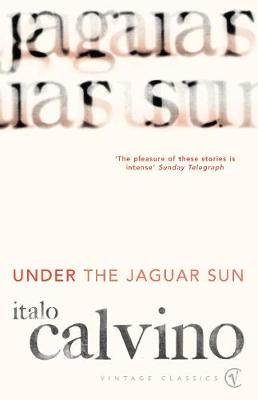 Book cover for Under the Jaguar Sun