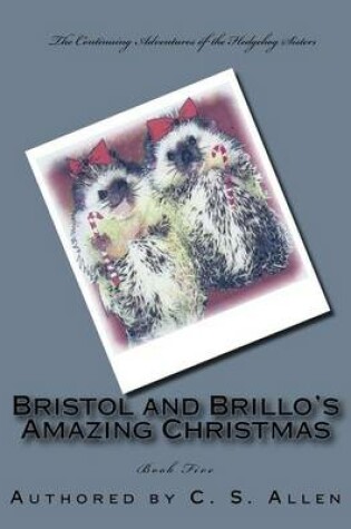 Cover of Bristol and Brillo's Amazing Christmas