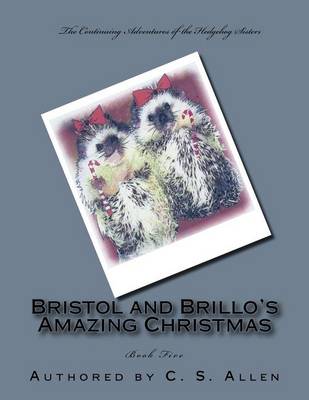 Book cover for Bristol and Brillo's Amazing Christmas