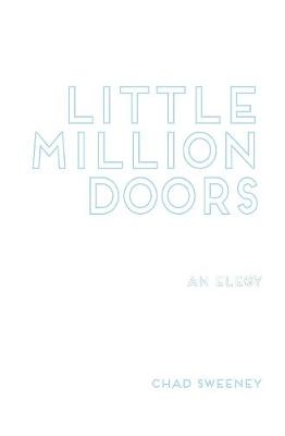 Book cover for Little Million Doors