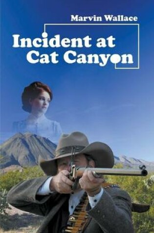 Cover of Incident at Cat Canyon