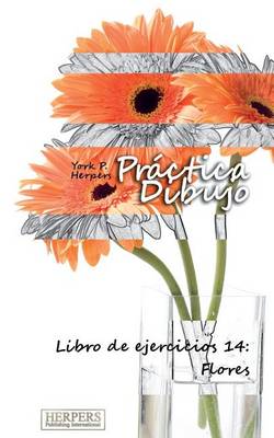 Book cover for Práctica Dibujo - Libro de ejercicios 14