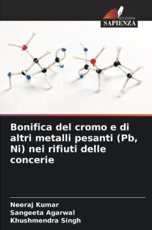 Cover of Bonifica del cromo e di altri metalli pesanti (Pb, Ni) nei rifiuti delle concerie