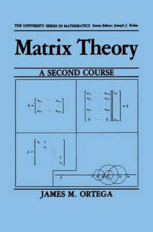 Cover of Matrix Theory: A Second Course