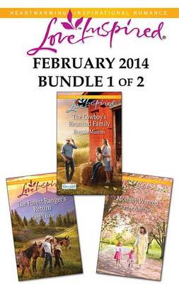 Book cover for Love Inspired February 2014 - Bundle 1 of 2