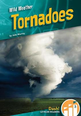 Cover of Tornadoes