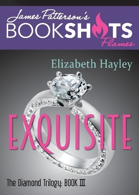 Book cover for Exquisite