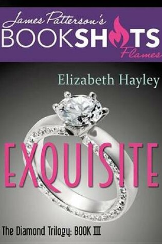 Cover of Exquisite