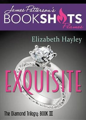 Book cover for Exquisite