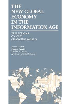 Book cover for The World Economy in the Information Age