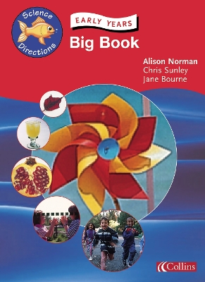 Book cover for Early Years Big Book