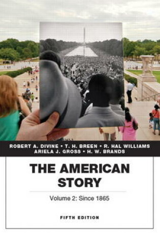 Cover of The American Story, Vol.2