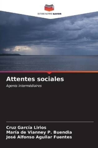 Cover of Attentes sociales