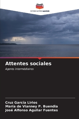 Book cover for Attentes sociales