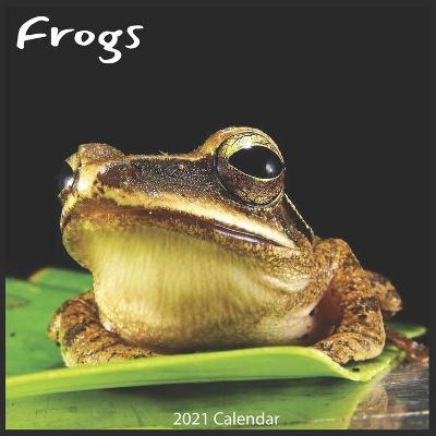 Book cover for Frogs 2021 Calendar