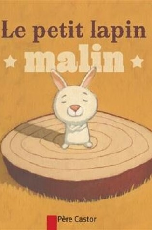 Cover of Le petit lapin malin