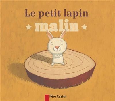 Book cover for Le petit lapin malin