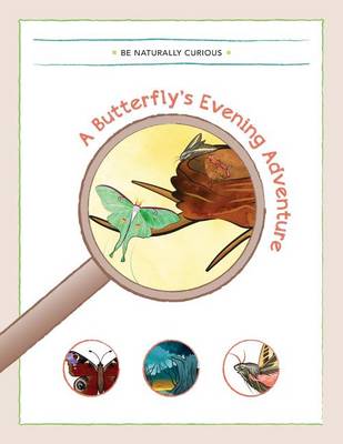 Book cover for A Butterfly's Evening Adventure