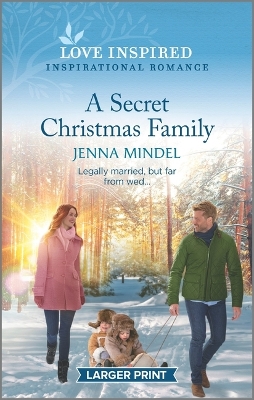 Book cover for A Secret Christmas Family