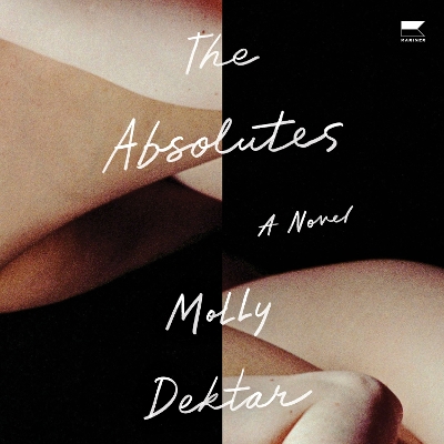 Book cover for The Absolutes