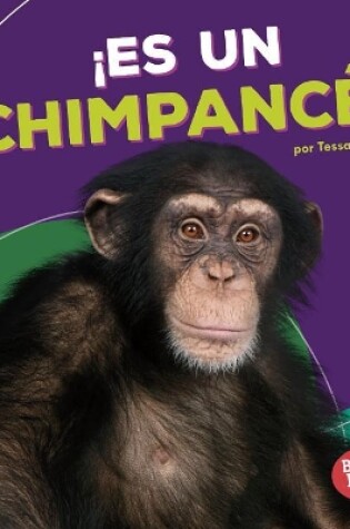 Cover of �Es Un Chimpanc�! (It's a Chimpanzee!)