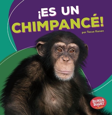 Book cover for ¡Es un chimpancé! (It's a Chimpanzee!)