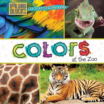 Book cover for Colors at the Zoo