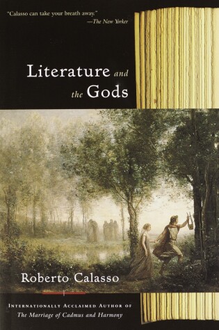 Cover of Literature and the Gods