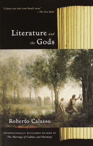 Cover of Literature and the Gods