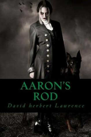 Cover of Aaron s Rod