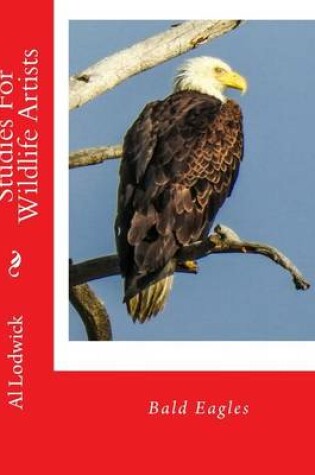 Cover of Bald Eagles