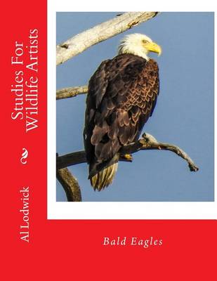 Book cover for Bald Eagles