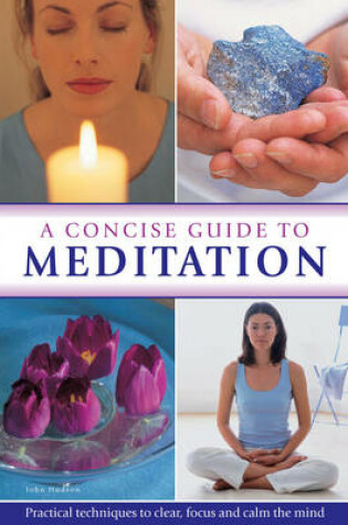 Cover of Concise Guide to Meditation