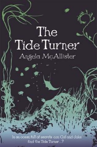 Cover of The Tide Turner