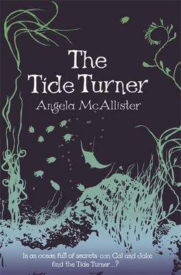 Book cover for The Tide Turner