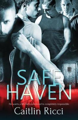 Book cover for Safe Haven