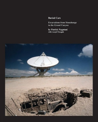 Book cover for Buried Cars