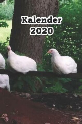 Cover of Kalender 2020