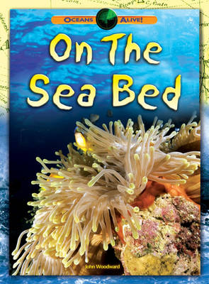 Cover of On the Sea Bed