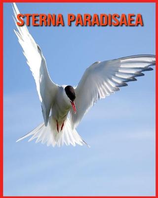 Book cover for Sterna Paradisaea