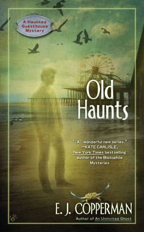 Book cover for Old Haunts