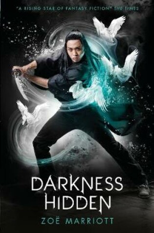 Cover of The Name of the Blade, Book Two: Darkness Hidden