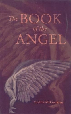 Book cover for The Book of the Angel