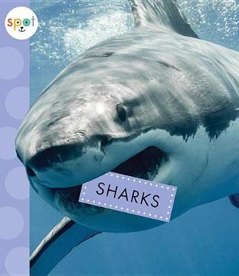 Book cover for Sharks