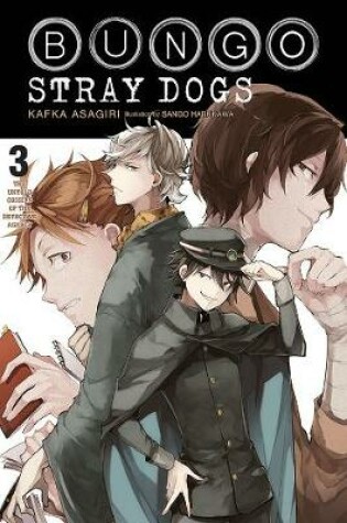 Cover of Bungo Stray Dogs, Vol. 3 (light novel)